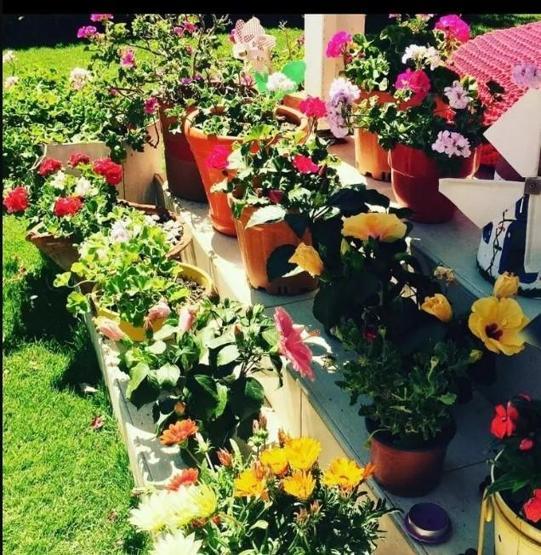 Çeşme sezonu bitti Kırmızı panjurlar kapandı