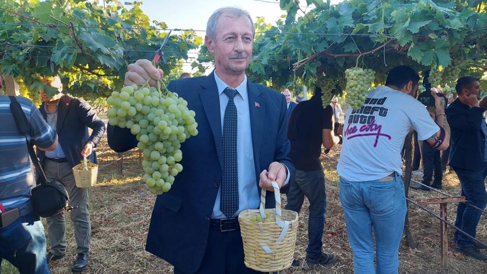 Tekirdağda bağ bozumu etkinliği: Binlerce çeşit üzüm hasat edildi