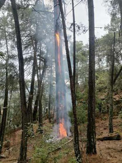 Muğlada 1 günde düşen yıldırımlar nedeniyle 36 yangın çıktı