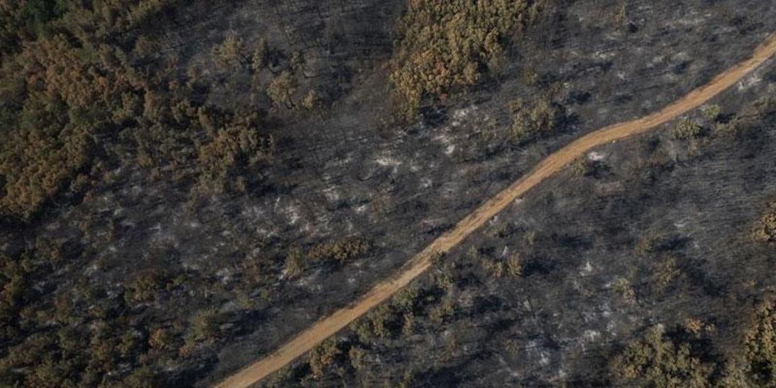 Yunanistan’da yangının yol açtığı tahribat görüntülendi: 150 bin hektar alan kül oldu