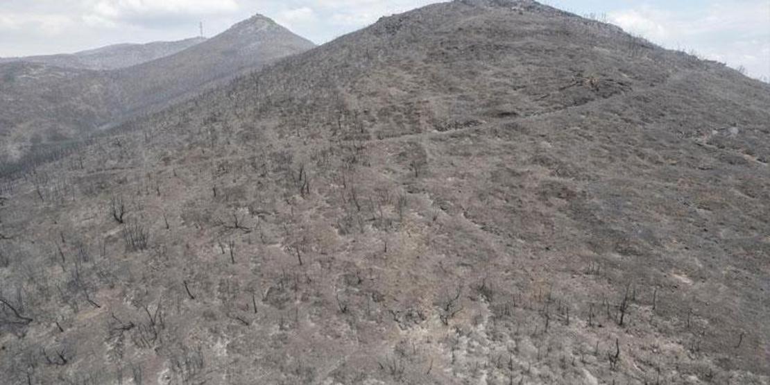 Yunanistan’da yangının yol açtığı tahribat görüntülendi: 150 bin hektar alan kül oldu