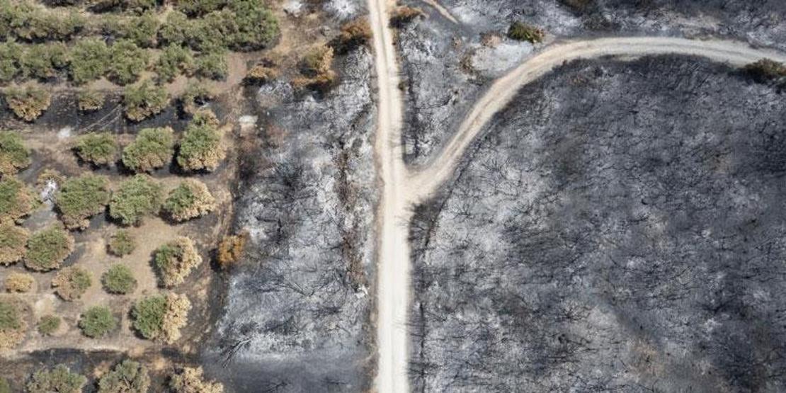 Yunanistan’da yangının yol açtığı tahribat görüntülendi: 150 bin hektar alan kül oldu