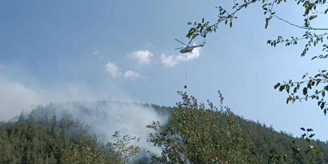 Osmaniyede orman yangını: Ekipler müdahale ediyor