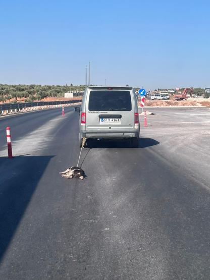 Tepki çeken görüntüler Köpeği araca bağlayıp metrelerce sürükledi