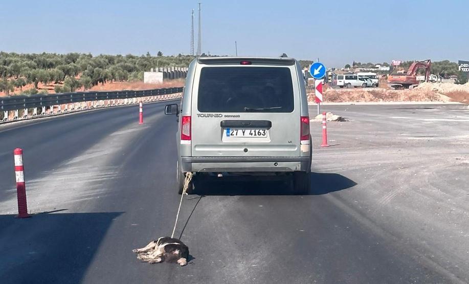 Tepki çeken görüntüler Köpeği araca bağlayıp metrelerce sürükledi