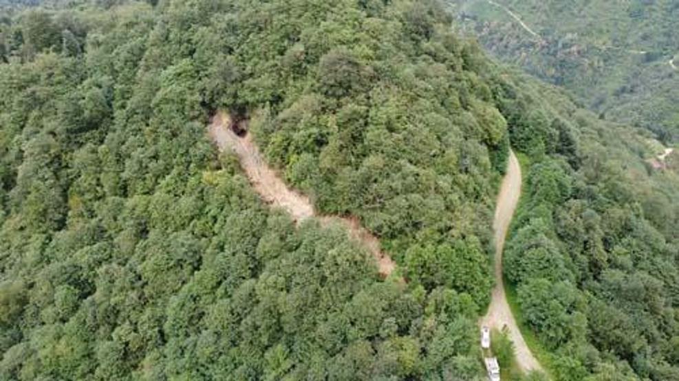 Define için ormana iş makinesiyle yol açtılar