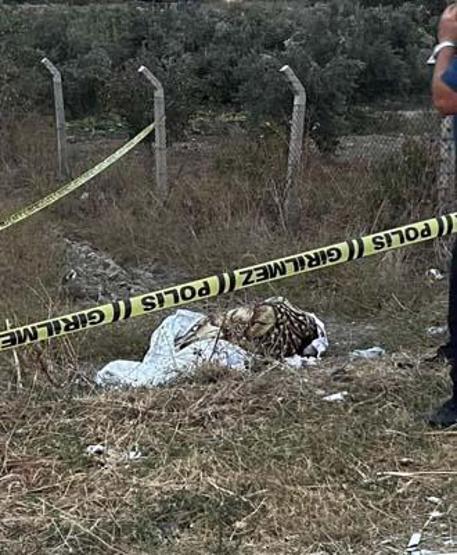 Sevgilisini fare zehri ile öldürmüştü: Caninin cezası belli oldu
