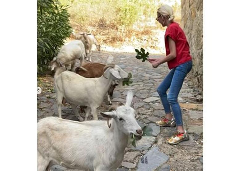 Derin Mermerci keçilere ders verdi