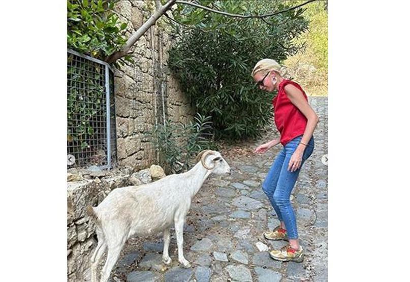 Derin Mermerci keçilere ders verdi