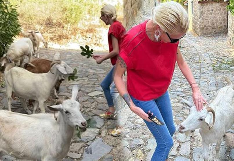 Derin Mermerci keçilere ders verdi
