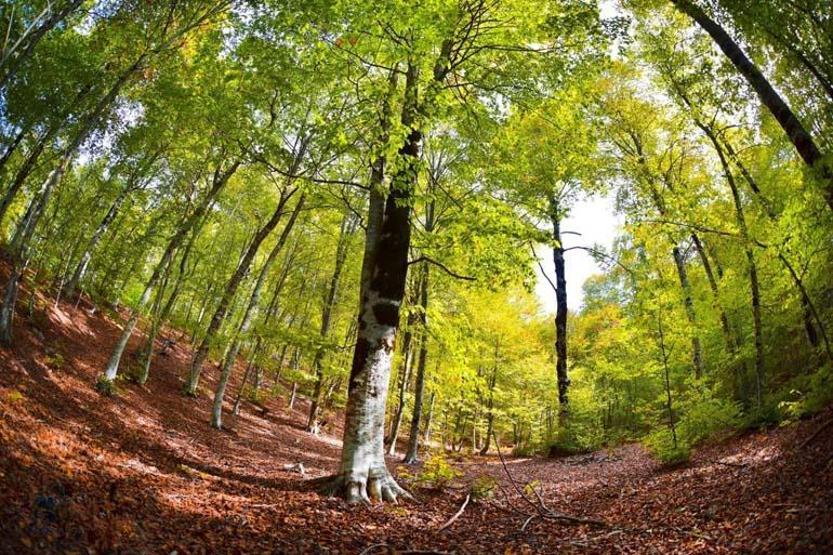 Dumanlı Yaylası fotoğraf sanatçılarının vazgeçilmezi oldu