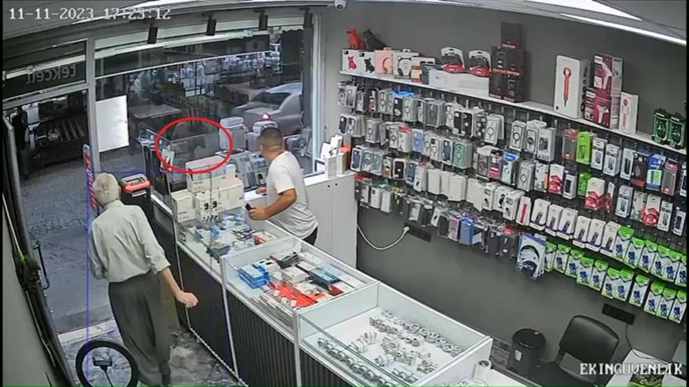 Seyir halindeki otomobilin üstüne damdan keçi düştü