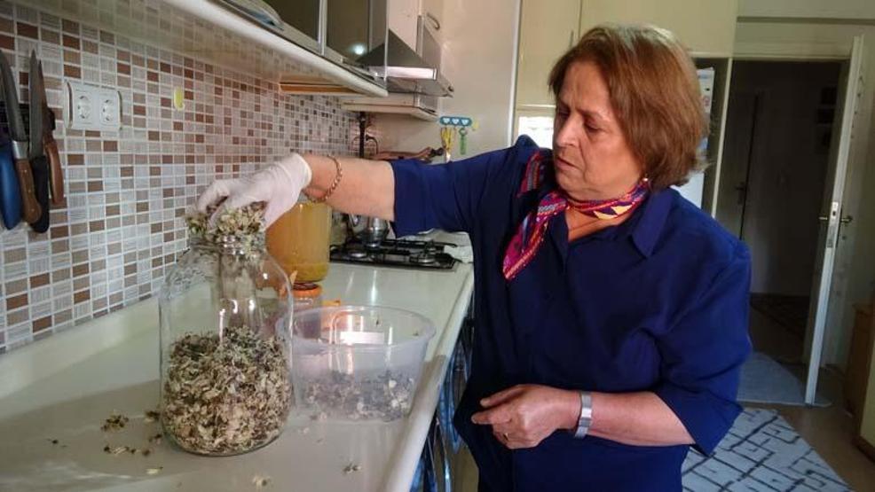 Vücudu enfeksiyonlara karşı koruyor Adeta doğal ilaç Ahlat, çam kozalağı, alıç, kuşburnu, akasya... Ev yapımı sirkenin faydaları...