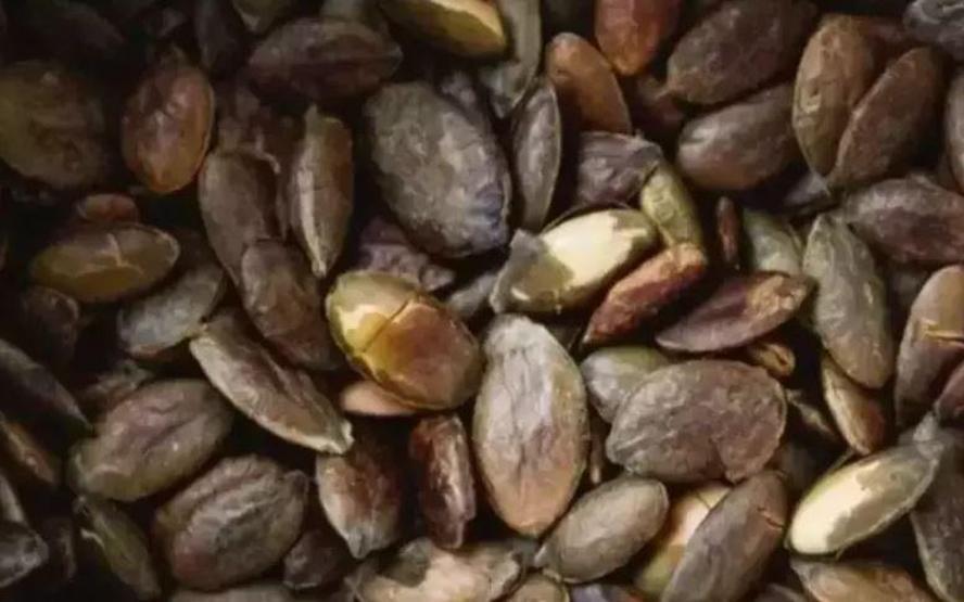 Unutkanlığa birebir Hafızayı çelik gibi yapıyor