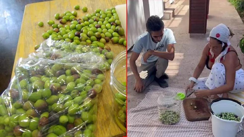 Hülya Avşar Bahçeden erken hasat diye paylaşmıştı O video sonrası kırma zeytine talep arttı