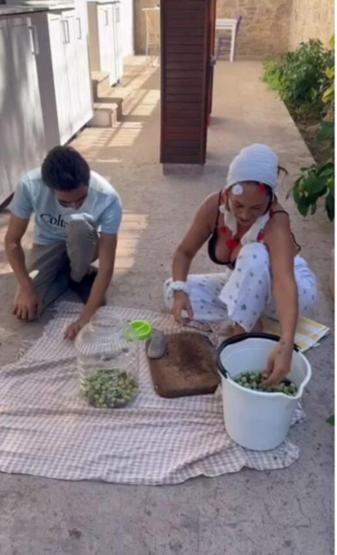 Hülya Avşar Bahçeden erken hasat diye paylaşmıştı O video sonrası kırma zeytine talep arttı