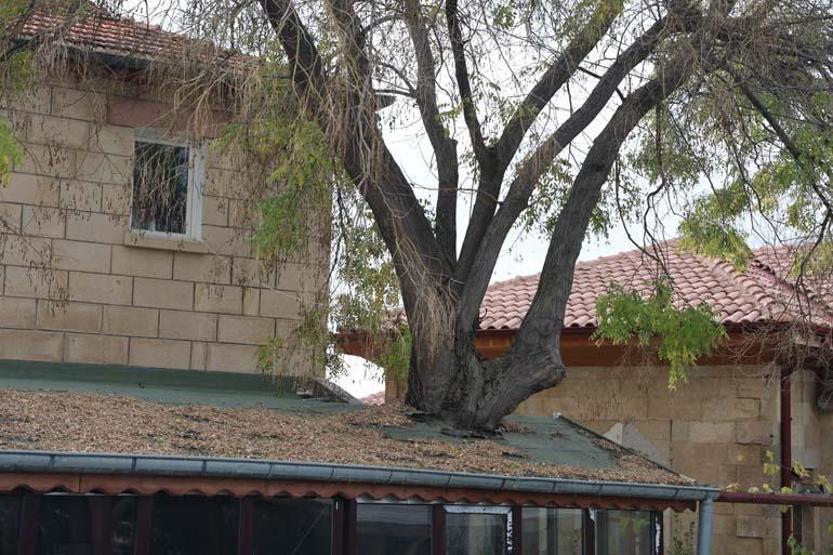 Yer: Nevşehir Bir asır sonra fark edildi, yaşı uzmanları bile şaşırttı O bölgede başka bir örneği bulunmuyor