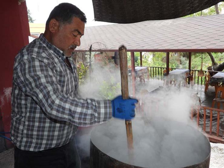Mantar, egzama ve saç dökülmesine birebir Türkiyede en çok Hatayda yetişiyor Mikrop öldürücü özelliği var