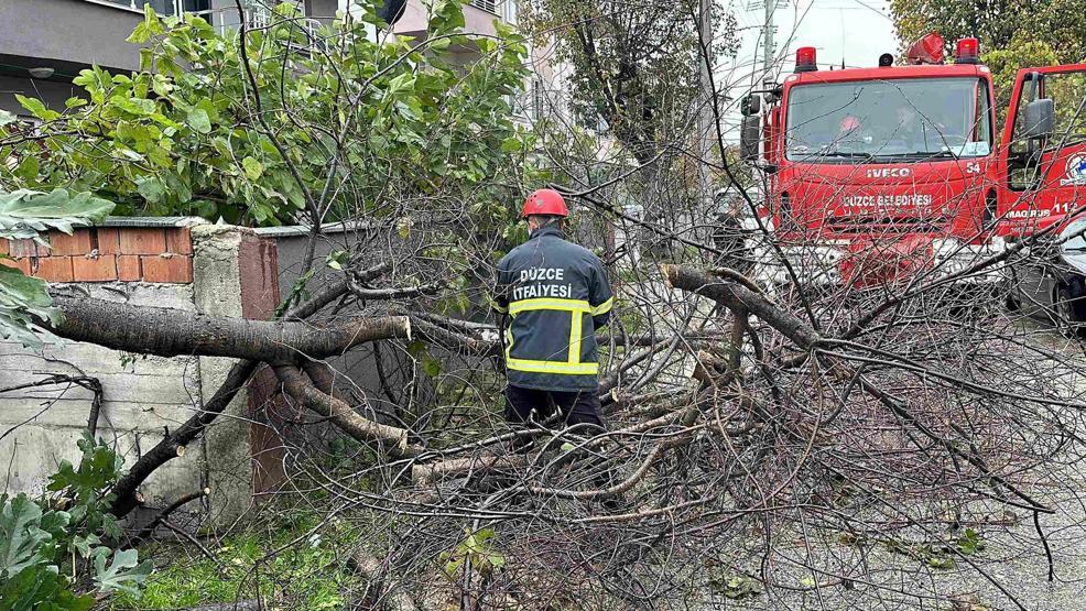 Meteoroloji yarın için uyardı Kuvvetli fırtına geliyor...