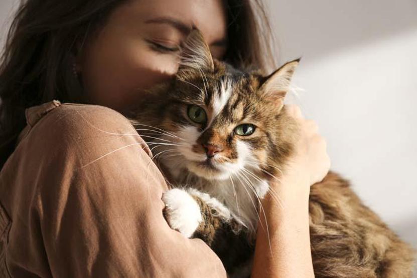 Evinde kedi besleyenlere Uyuz uyarısı Nasıl önlemler alınmalı
