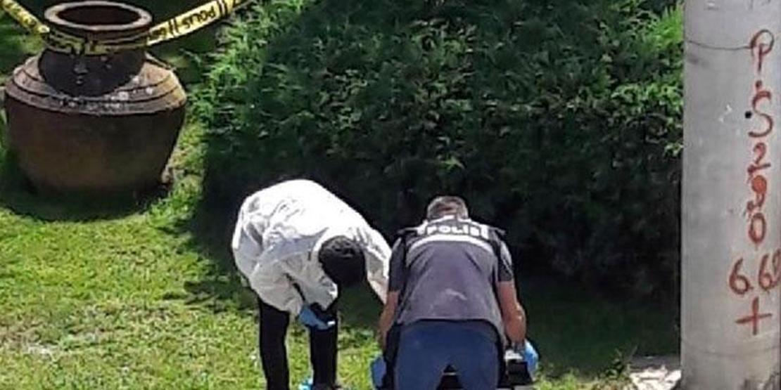 Parçalanmış uzuvlarını köpek bulmuştu... Dehşet veren cinayet böyle aydınlatıldı