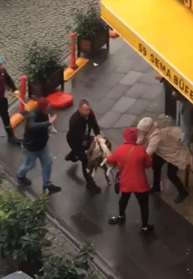 Pitbull dehşeti Önce kadına sonra köpeğine saldırdı