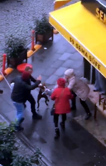 Pitbull dehşeti Önce kadına sonra köpeğine saldırdı