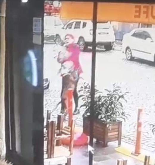 Pitbull dehşeti Önce kadına sonra köpeğine saldırdı