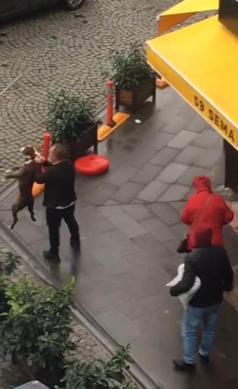 Pitbull dehşeti Önce kadına sonra köpeğine saldırdı