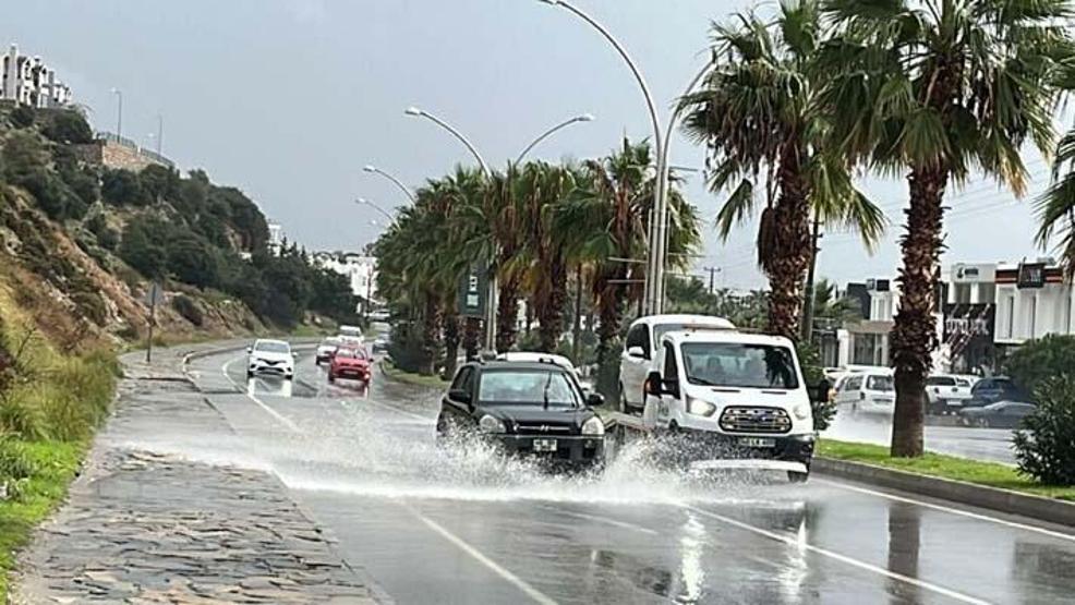 Bodrumda sağanak: Dereler taştı, ağaçlar devrildi