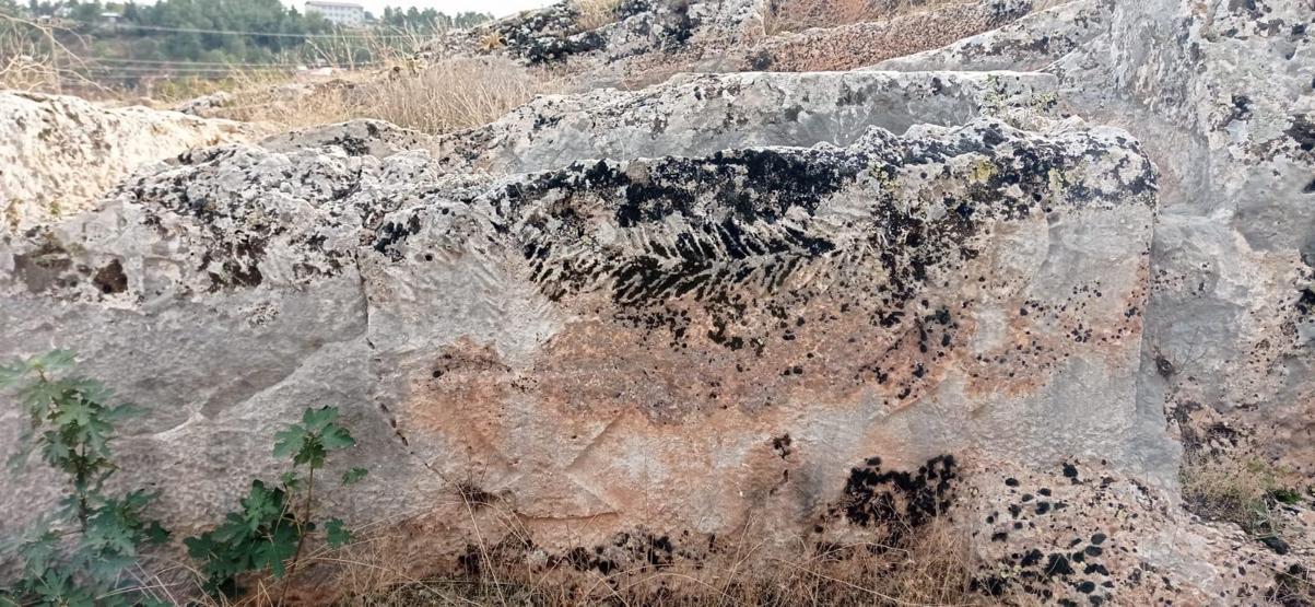 Perre Antik Kentinde Roma dönemine ait bir kadının rölyefine rastlanıldı