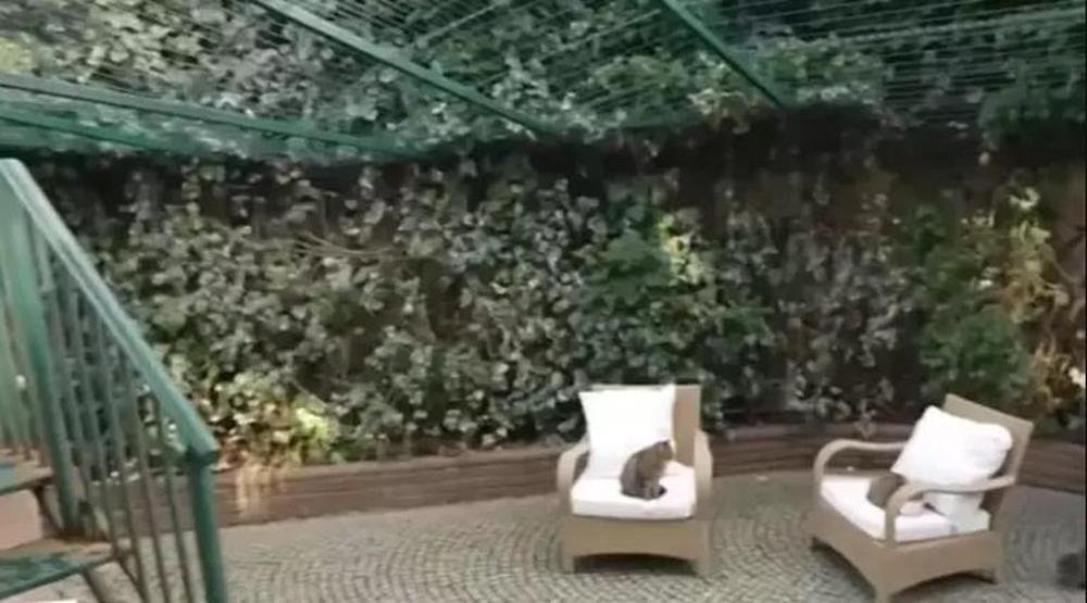 Evrim Akın ile Ev Gezmesinin son konuğu: Ömür Gedik