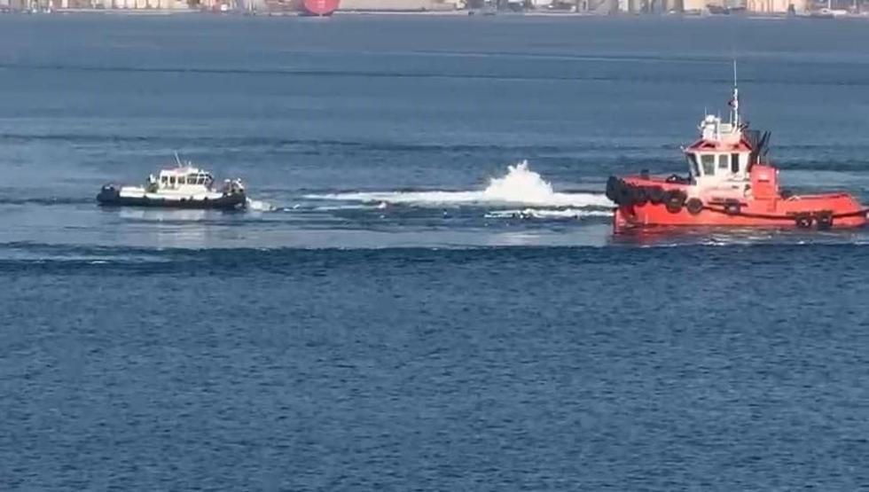 İzmit Körfez’inin ortasında can pazarı: Yüzer havuzdan suya atladılar