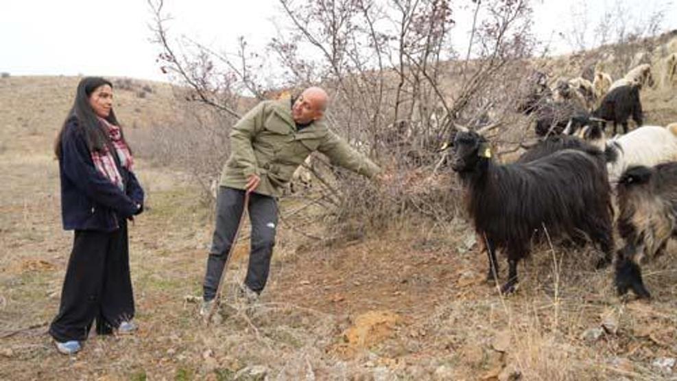 İki Üniversite Mezunuydu, Çobanlık Yapıyordu Eminenin Hayali Gerçek Oldu: Yeni Yılda Öyle Bir Haber Aldı Ki...
