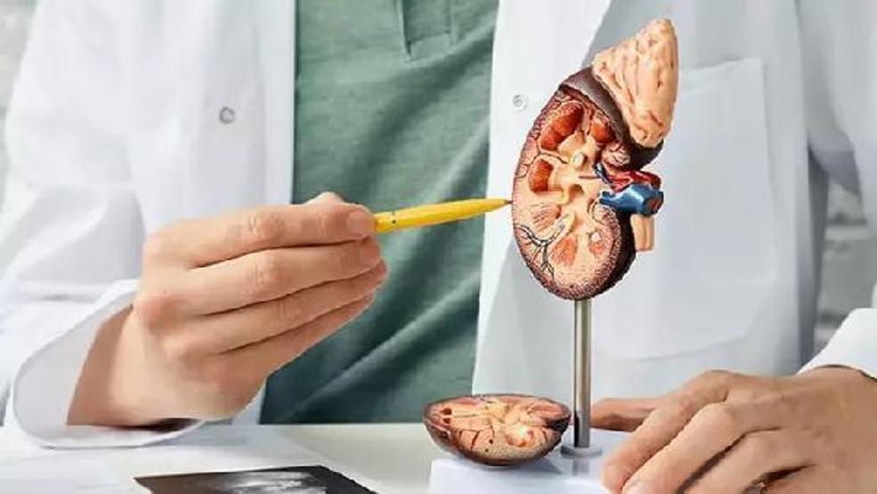 Böbrek taşı riski o kişilerde daha fazla Teknoloji bağımlıları dikkat Böbreklerde taş neden olur Böbrek taşı belirtileri