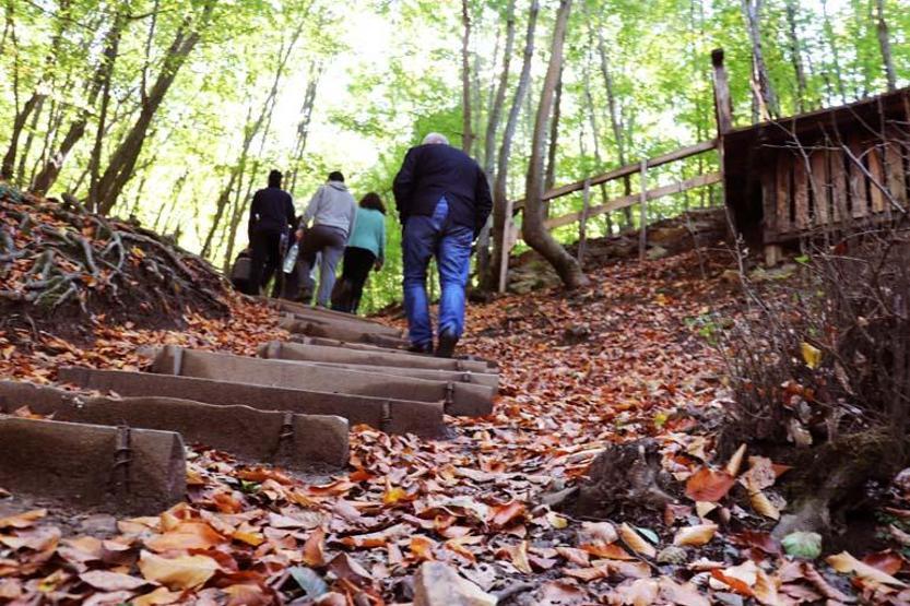 Yalovanın yeni rotası: Doğa turizmi
