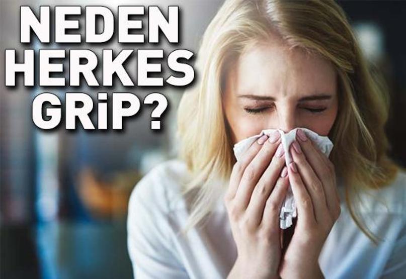 Neden herkes grip