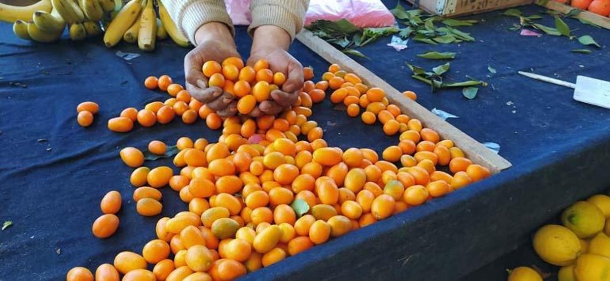 Doğal C vitamini deposu Kan şekerini dengeliyor, kolesterolü düşürüyor... Pazarın gözdesi oldu B vitamini, manganez, kalsiyum...
