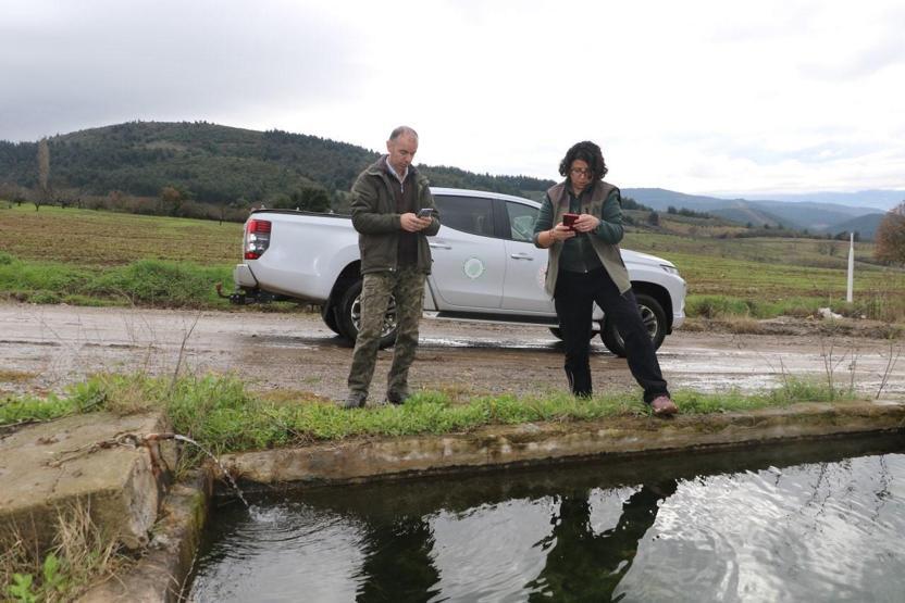 Nesli tehlike altındaydı... Bursada tesadüfen gölette bulundu