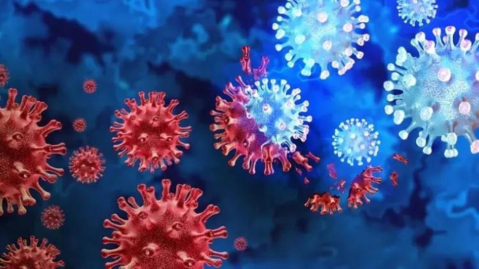 Dünya Sağlık Örgütü: X hastalığına hazır olun Dünya Sağlık Örgütü uyardı X hastalığı belirtileri nelerdir, Türkiyede var mı