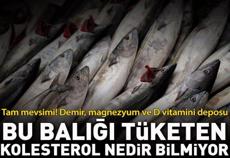 Tam mevsimi Bu balığı tüketen kolesterol nedir bilmiyor, demir, magnezyum ve D vitamini deposu