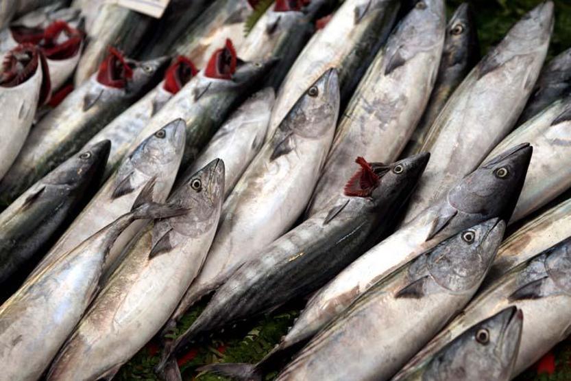 Protein, kalsiyum, iyot ve Omega-3 zengini... Kalbini seven tüketsin