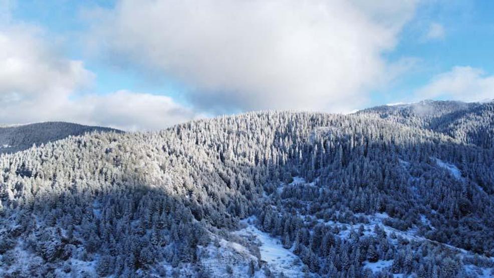 Ilgaz Dağı’nın eteklerindeki yaylalarda kartpostallık görüntüler