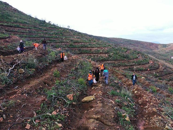 4 bin 392 hektarlık alan küle dönmüştü: 2 yıllık çaba sonuç verdi, Marmaris yeniden yeşillendi