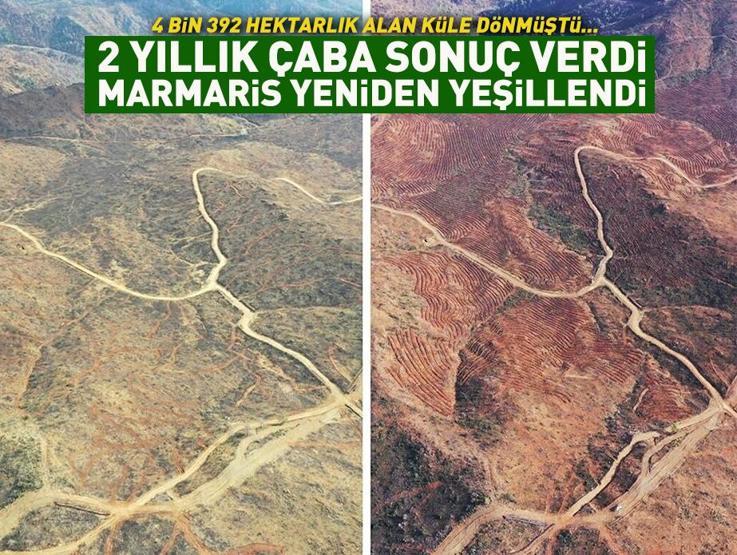4 bin 392 hektarlık alan küle dönmüştü: 2 yıllık çaba sonuç verdi, Marmaris yeniden yeşillendi