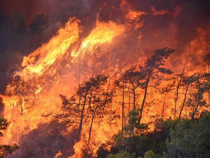4 bin 392 hektarlık alan küle dönmüştü: 2 yıllık çaba sonuç verdi, Marmaris yeniden yeşillendi