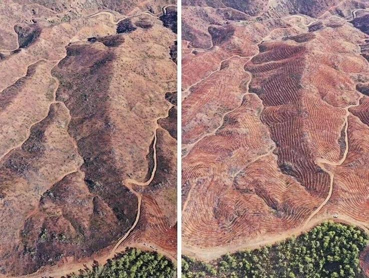 4 bin 392 hektarlık alan küle dönmüştü: 2 yıllık çaba sonuç verdi, Marmaris yeniden yeşillendi