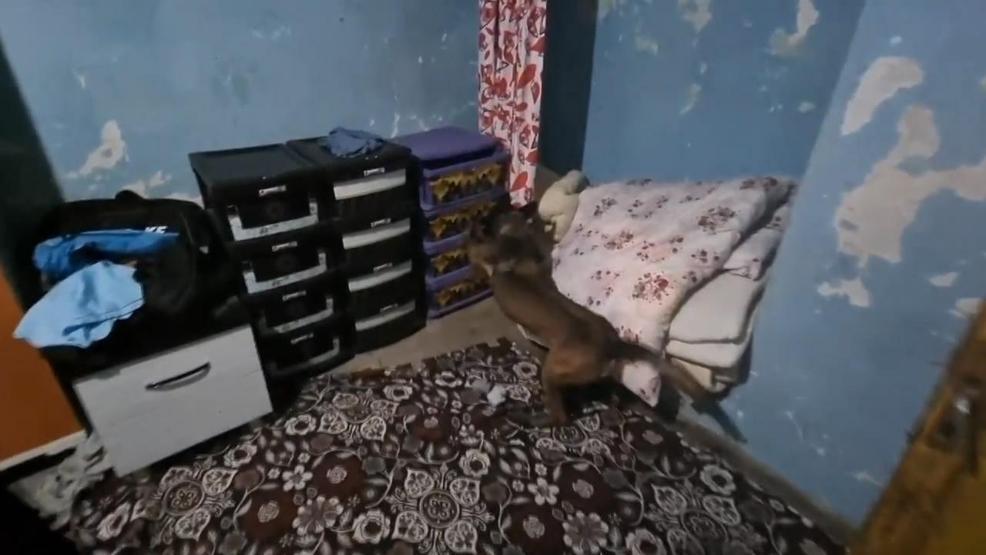 Polisten kaçarken çatıya çıktı Uyuşturucuyu karşı binaya attı