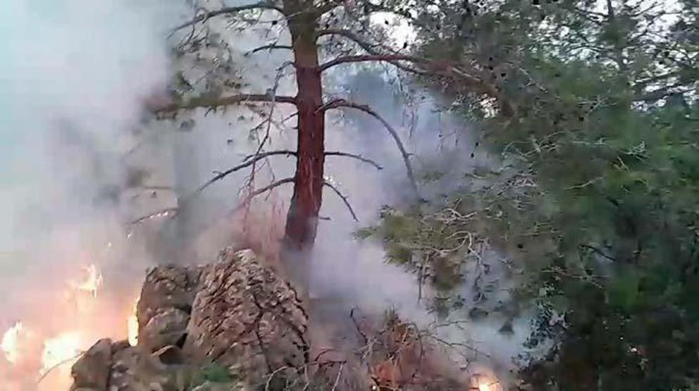 Ormandaki yangında yerde yatarken bulundu; Isınmak amacıyla yaktım dedi