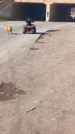 Kan donduran görüntüler Köpeği ATVye bağlayıp metrelerce sürükledi